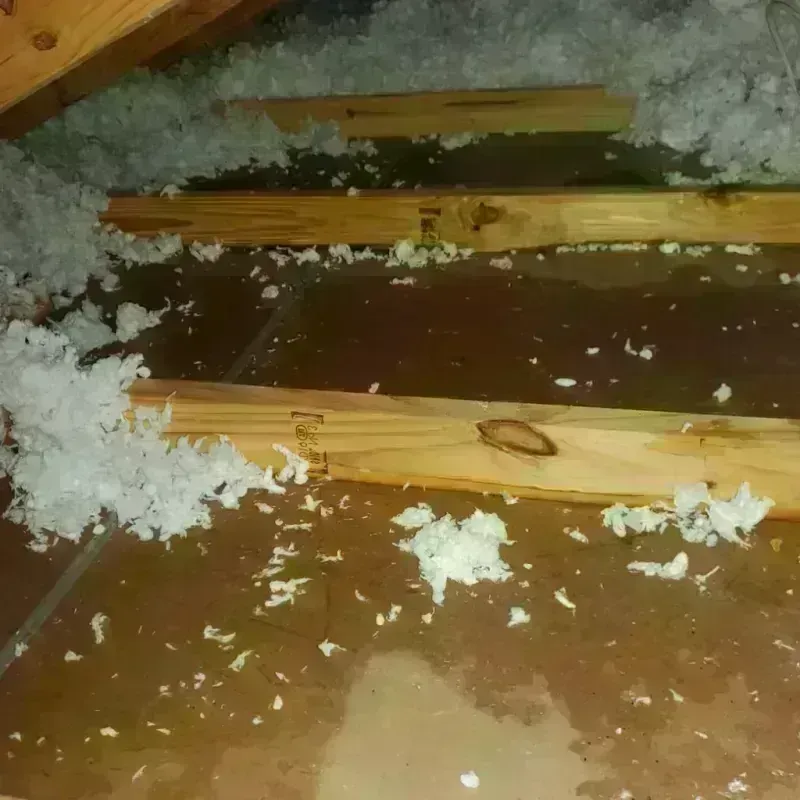 Attic Water Damage in Jasper County, MO