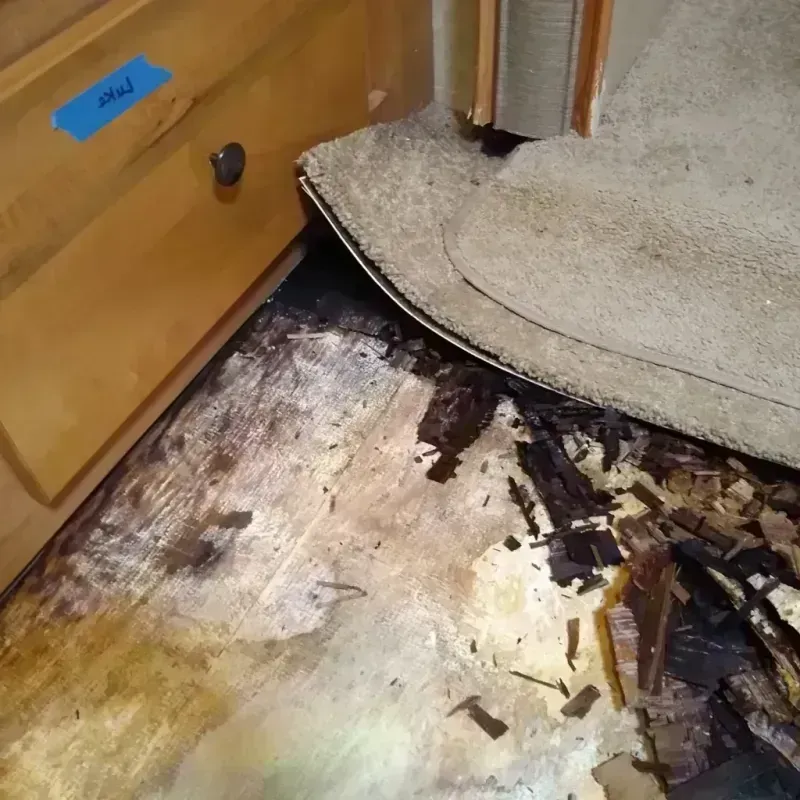 Wood Floor Water Damage in Jasper County, MO